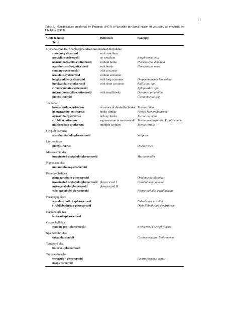 The terminology of larval cestodes or metacestodes