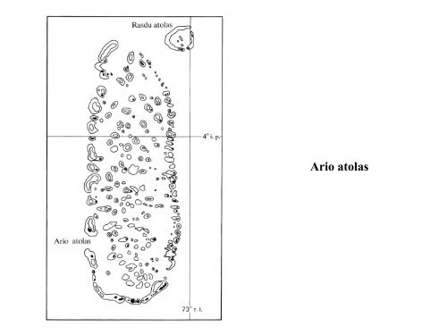 13. Å¾vÄriukai ir augaliukai