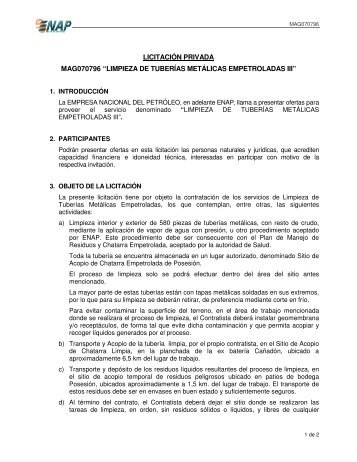 licitación privada mag070796 “limpieza de tuberías ... - Enap