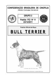 BULL TERRIER - CBKC