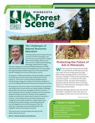 Stay ConneCted! Get Involved! - Department of Forest Resources ...