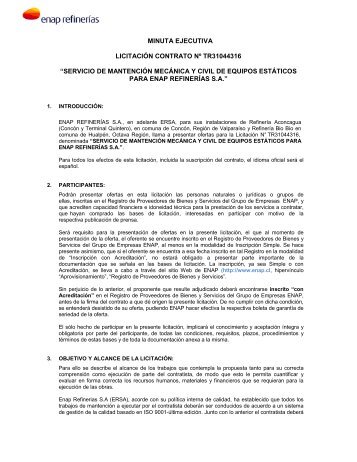 minuta ejecutiva licitación contrato nº tr31044316 “servicio ... - Enap
