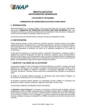 MINUTA EJECUTIVA ANTECEDENTES GENERALES - Enap