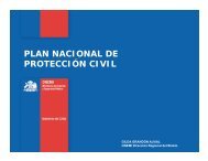 PLAN NACIONAL DE PROTECCIÃN CIVIL - LEU