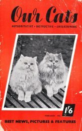 Untitled - Kyina & Talisker Cats Breeders of Russian Blues in ...