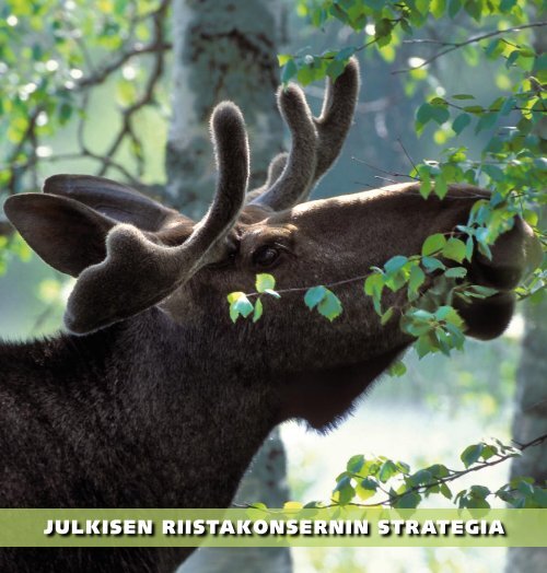 julkisen riistakonsernin strategia - Maa- ja metsätalousministeriö