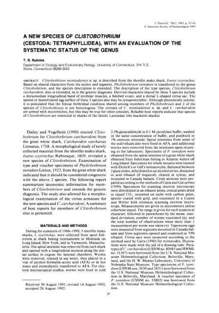 A New Species of Clistobothrium - University of Connecticut