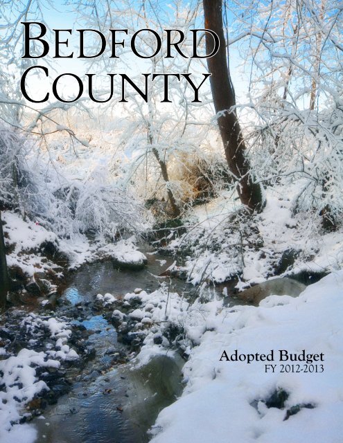 Adopted Budget - Bedford County, Virginia