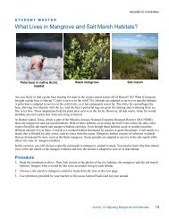 What Lives in Mangrove and Salt Marsh Habitats? - Estuaries NOAA