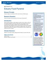 Estuary Food Pyramid Teacher Guide - Estuaries NOAA