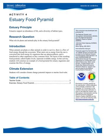 Estuary Food Pyramid Teacher Guide - Estuaries NOAA