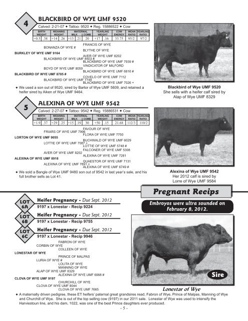 View Catalog - Brubaker Sales and Marketing