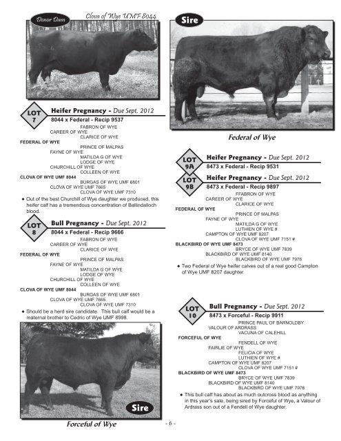 View Catalog - Brubaker Sales and Marketing