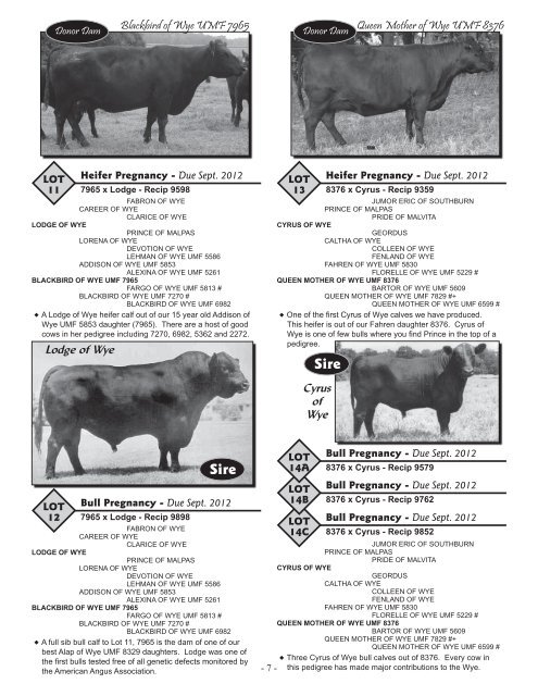 View Catalog - Brubaker Sales and Marketing