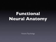 Functional Neural Anatomy - developmentalcognitivescience.org