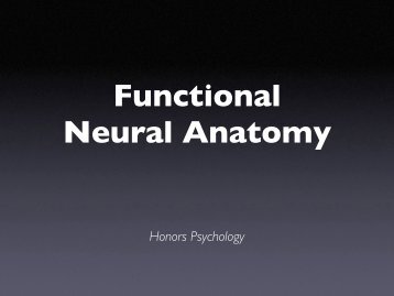 Functional Neural Anatomy - developmentalcognitivescience.org