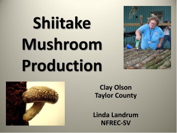 Shiitake Mushroom Production - Small Farms / Alternative Enterprises
