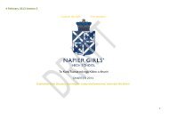 Strategic Plan - Napier Girls' High School