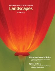 Landscapes - Peninsula Open Space Trust