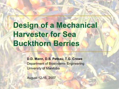 Design of a Mechanical Harvester for Sea Buckthorn Berries