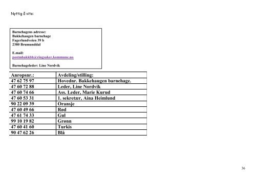 Velkommen til BAKKEHAUGEN BARNEHAGE! - Ringsaker kommune