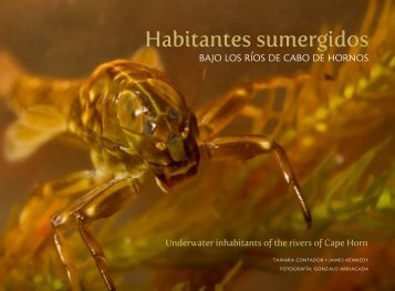 guc3ada_de_campo_habitantes_sumergidos