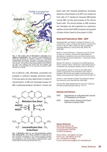 Biochemie-Zentrum der Universität Heidelberg (BZH)