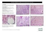 MEGABACTERIOSIS IN A ZEBRA FINCH (Poephila guttata) (CASE ...