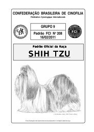 SHIH TZU - CBKC