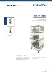 Rabbit cages