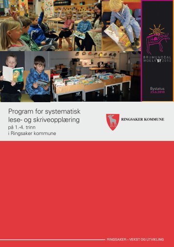 Program for systematisk lese - Ringsaker kommune