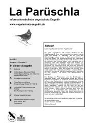 2 - Vogelschutz Engadin