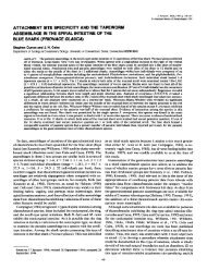 Attachment Site Specificity and the Tapeworm Assemblage in the ...