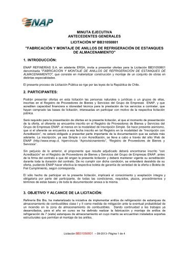minuta ejecutiva antecedentes generales licitación nº ... - Enap