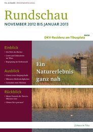 Ausgabe November 2012 - Januar 2013 - DKV-Residenz am ...