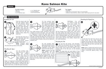 Kono Salmon Kite - Drachen Foundation