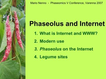 Phaseolus and Internet - Mario Nenno