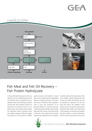 Fish Meal and Fish Oil Recovery - GEA Westfalia Separator