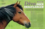 DRAUFGÃƒÂ„NGER Diva SO TICKT IHR PFERD ... - Parelli Instruktoren