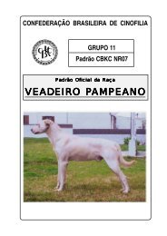 VEADEIRO PAMPEANO - CBKC