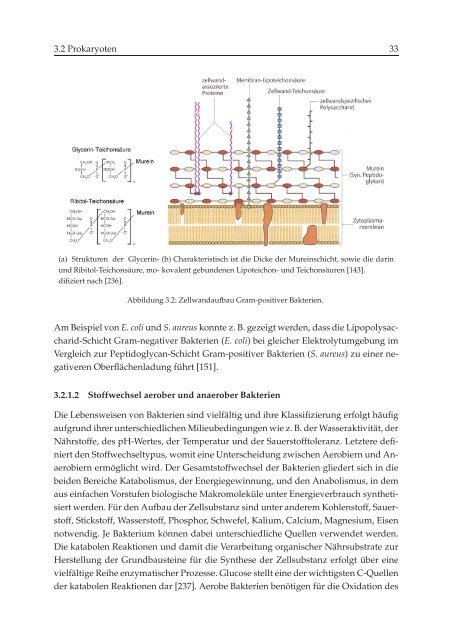 Methoden zur Evaluation von ZytotoxizitÂ¨at und Struktur ... - OPUS