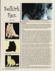 Selkirk Rex