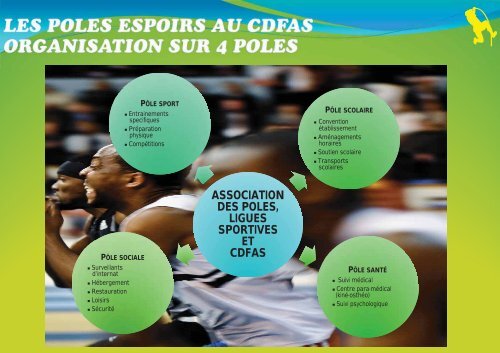 Le parcours d'excellence sportif au CDFAS Eaubonne - IRDS