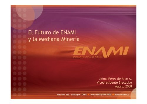 El Futuro de ENAMI y la Mediana MinerÃ­a