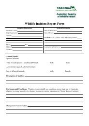 Wildlife Incident Report Form