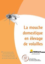 La mouche domestique en élevage de volailles - Institut Technique ...