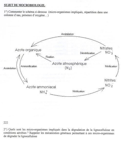 Janvier 2003