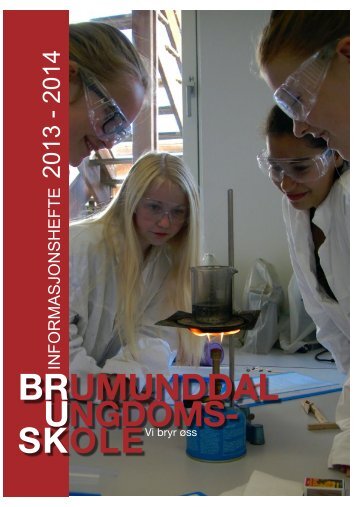 Infohefte 2013 nett.pdf - Ringsaker kommune