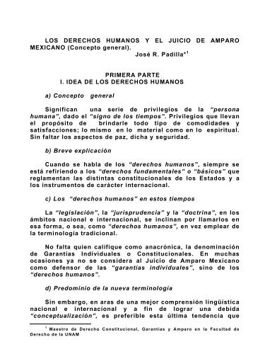 LOS DERECHOS HUMANOS Y EL JUICIO DE ... - Reposital - UNAM