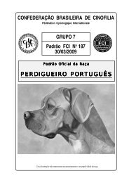 PERDIGUEIRO PORTUGUÃS - CBKC